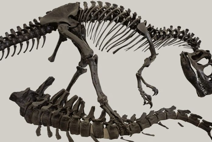 Estudo revela que dinossauros eram maiores que o estimado