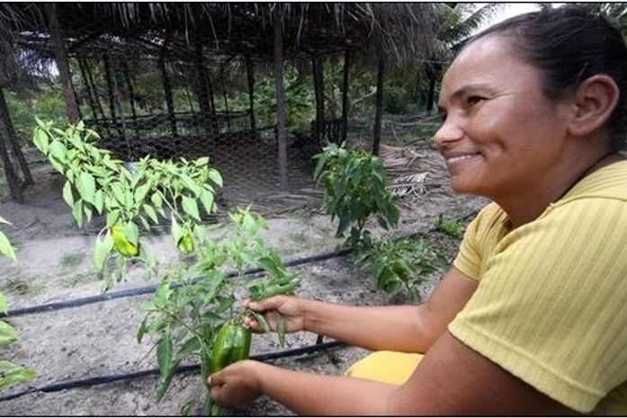 Resultados em Maragogi, por exemplo, são perceptíveis