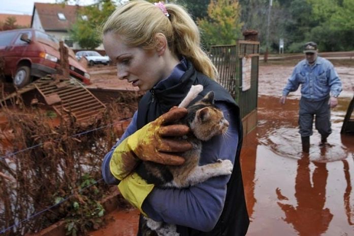 Moradora salva seu gato do 'mar de lama' desta terça-feira (5) na cidade húngara de Devecser