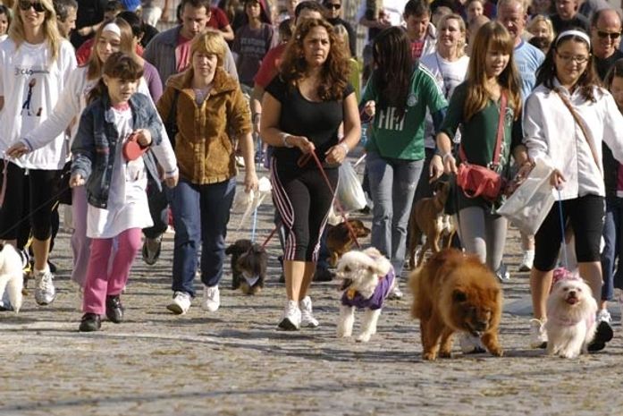 Primeira 'Cãominhada' acontece neste domingo na orla de Maceió