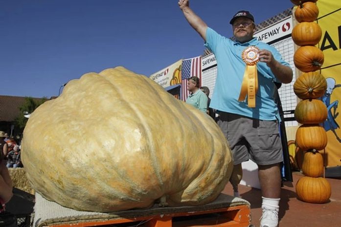 Abóbora com quase 700 quilos ganha campeonato mundial