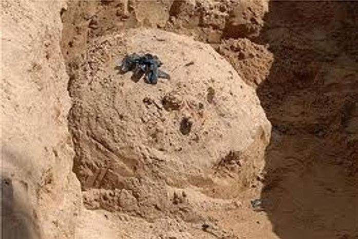 Após oito dias de busca, Marinha ainda tenta localizar minas aquáticas em Maragogi (AL)