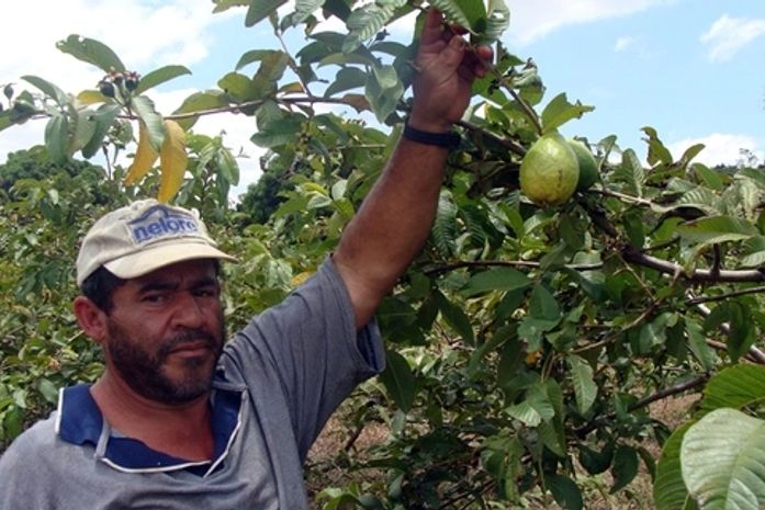 Extensionistas orientam agricultores do Agreste sobre aplicação de crédito