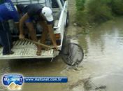 Barragens de São José da Tapera recebem peixes do DNOCS