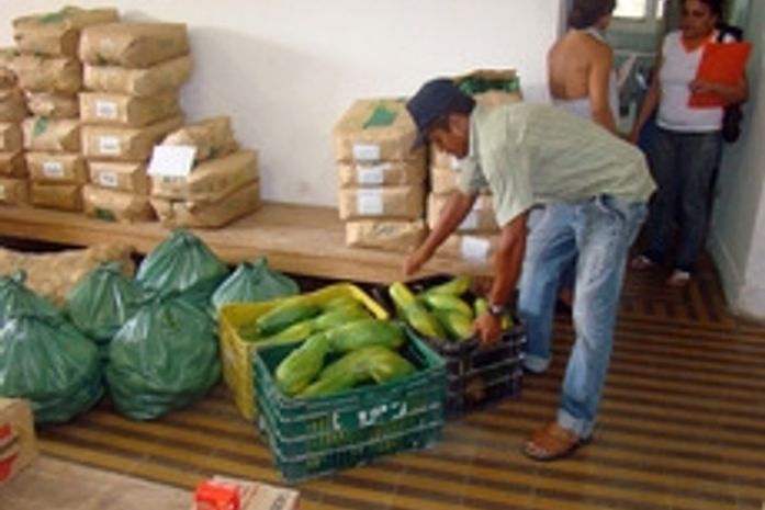 Escolas de alguns municípios já contam com produção agrícola local