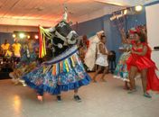 Galo da Madrugada faz 'pré-carnaval' todas as quintas-feiras
