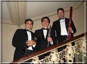 Funarte e Ministério da Cultura apresentam o Trio de Palhetas