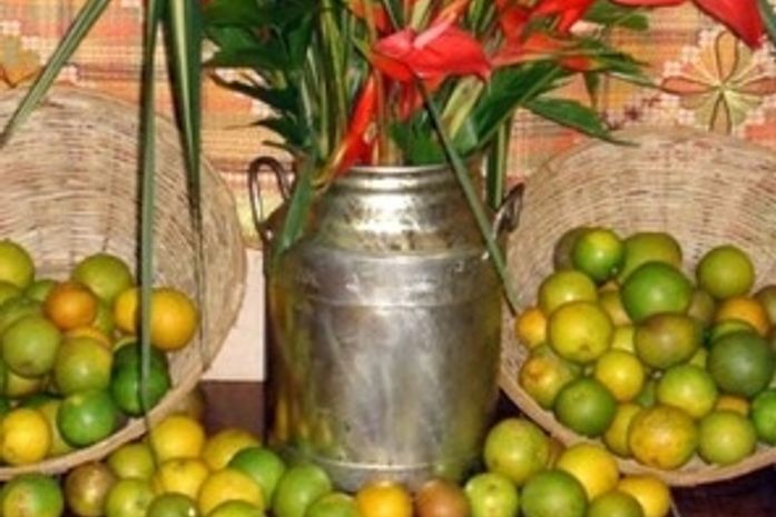 Venda de laranja lima à empresa paulista gerou R$18 mil para os produtores.