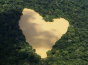 Lago em 'formato de coração' é fotografado na floresta amazônica
