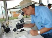 Saiba mais sobre a profissão do Agrônomo