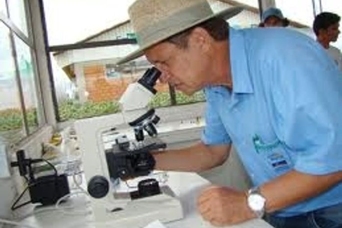 Saiba mais sobre a profissão do Agrônomo