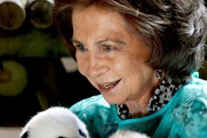 Até rainha comemora nascimento de pandas na Espanha