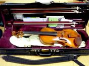 Músico alemão esquece violino de US$ 1,4 milãho em trem