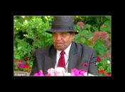 Joe Jackson 