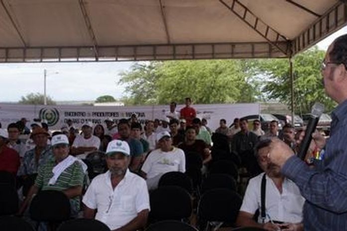 Probiodiesel reúne produtores de mamona do Agreste