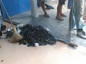 MST realiza protesto em diversos municípios de Alagoas