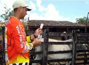 Adeal doa vacina contra aftosa a pequenos criadores