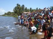 Feliz Deserto comemora repovoamento do rio Canduípe‏