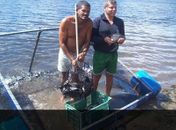 Em Quebrangulo prefeitura concede apoio para criadores de peixe e agricultores