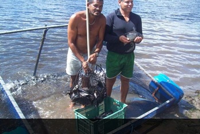 Em Quebrangulo prefeitura concede apoio para criadores de peixe e agricultores