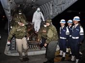 Santos diz que Farc planejam vingar morte de "Mono Jojoy"