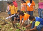 Arapiraca recebe prêmio Finep de Inovação 2010‏