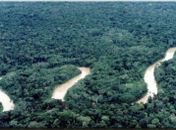 Ministério do Meio Ambiente abre concurso para 200 vagas