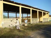Palmeira dos Índios ganhará fábrica de beneficiamento de caju