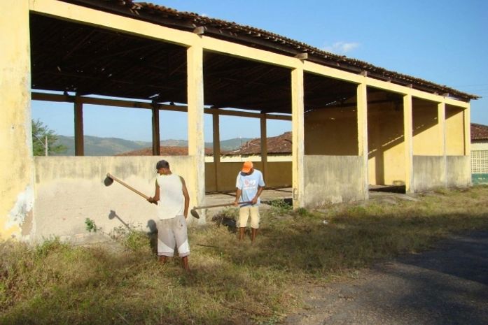 Palmeira dos Índios ganhará fábrica de beneficiamento de caju