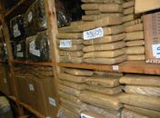 PF destrói 4 toneladas de maconha em Cascavel (PR)
