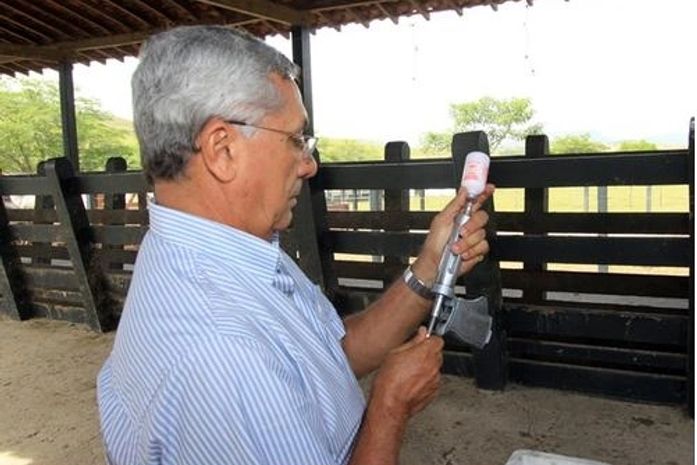 O prazo final para vacinação da febre afotosa é até essa terça-feira