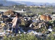 Moradores da Fazenda Frios acionam MP por causa do lixão