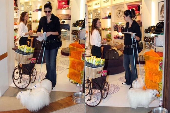 Luciana Gimenez vai ter o filho no exterior, diz jornal