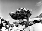 “Alagoas de Pierre Verger” é o tema de livro