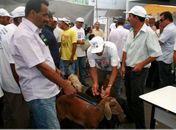 Programas do governo beneficiam agricultores do Sertão