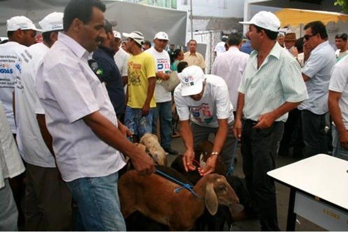 Programas do governo beneficiam agricultores do Sertão