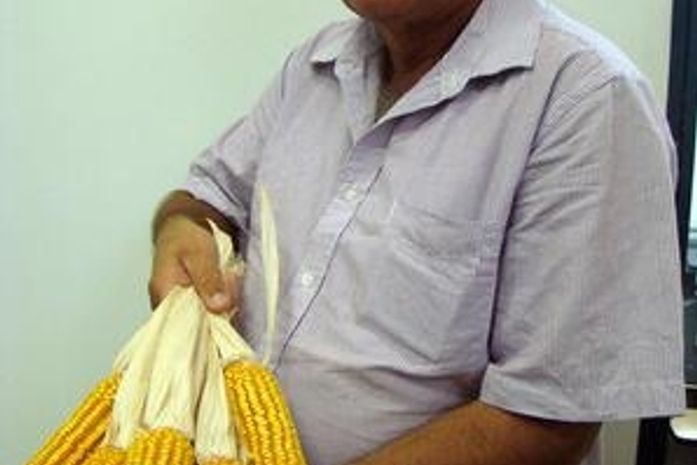 Concurso de produtividade de milho entrega premiação dia 12