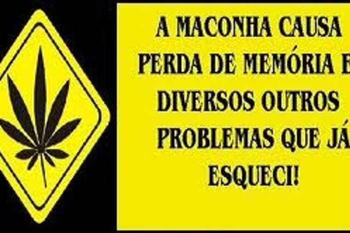 A maconha ainda é o carro-chefe das drogas