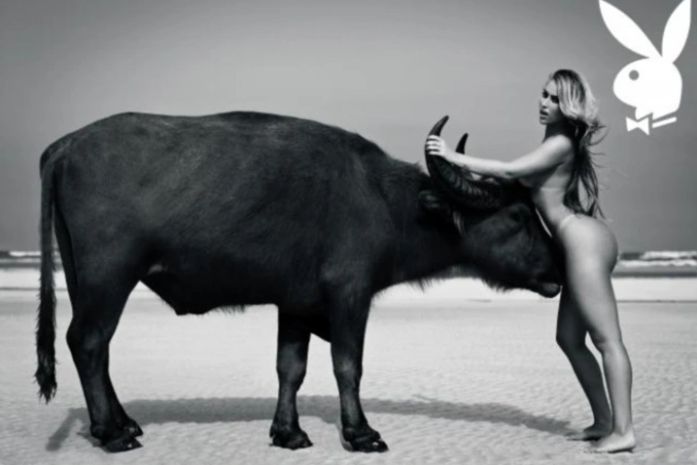 “Trocamos carinhos”, diz Andressa Ribeiro sobre foto com búfalo na Playboy