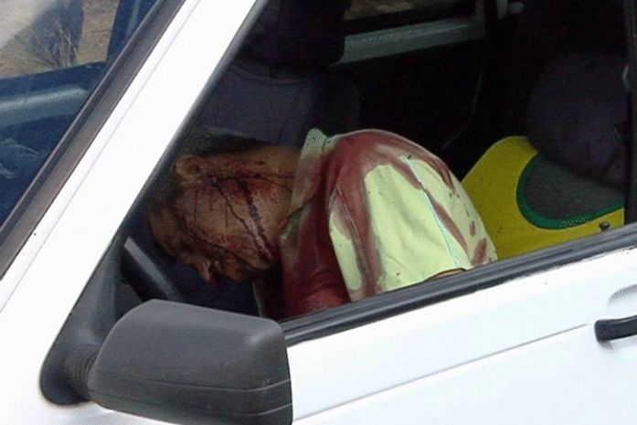 Jacar'e em seu taxi