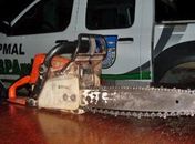 Polícia flagra derrubada de Mata Atlântica em Alagoas