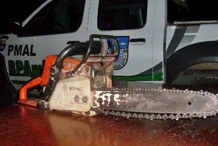 Polícia flagra derrubada de Mata Atlântica em Alagoas
