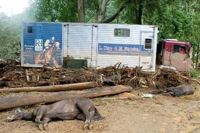 Chuvas arrasam haras no Rio de Janeiro e jockey coube decreta luto no turfe