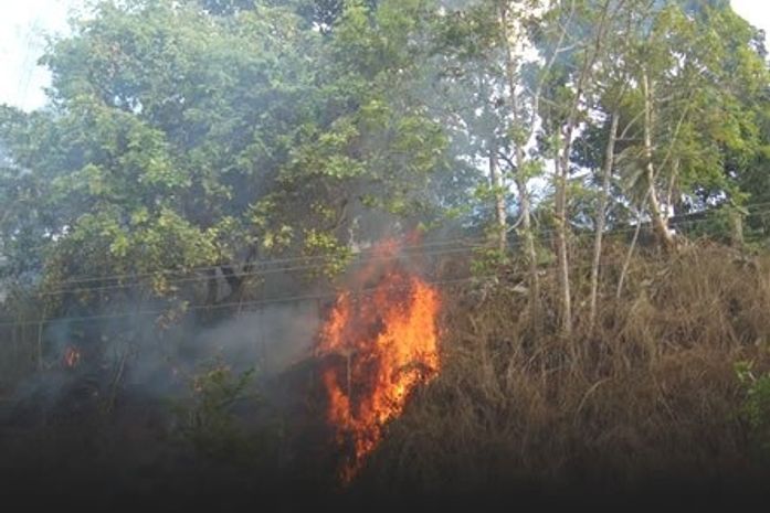 Incêndio destroi quase um hectare de Mata Atlântica em São Miguel