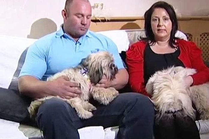 Cães salvam britânica inconsciente após queda em calçada