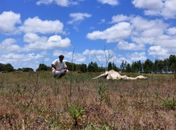 Rio Grande do Sul vive clima de extremos e pede ajuda da União