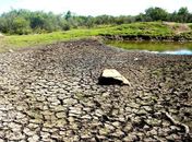 RS: 13 cidades estão em emergência por causa da seca