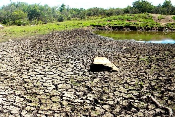 RS: 13 cidades estão em emergência por causa da seca