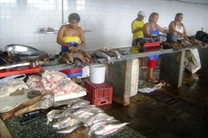Venda de pescado é discutida em Penedo