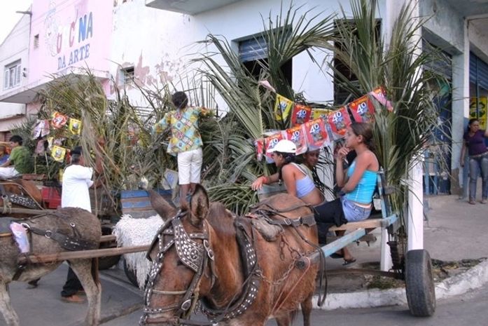 Carroceiros de Arapiraca terão Habilitação para poder transitar pela cidade